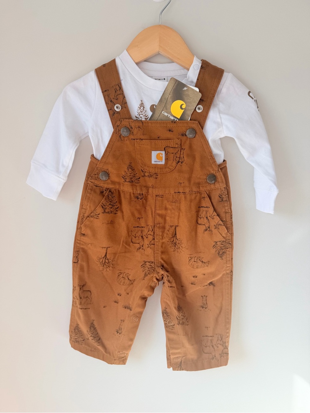 Carhartt Brown Woodland Graphic Kids Overalls and Shirt Set 6M